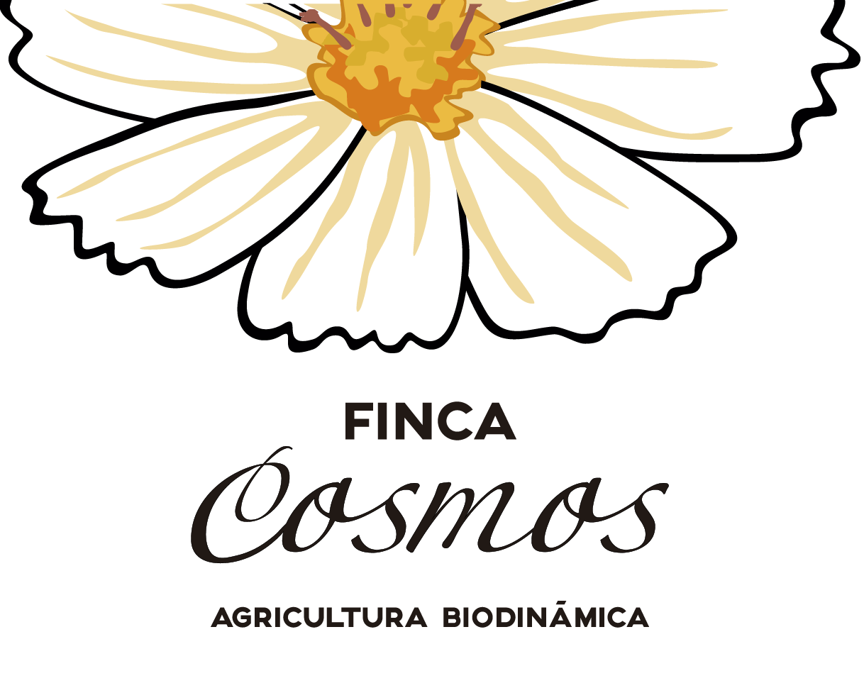 Logo Finca Cosmos NUEVO-02