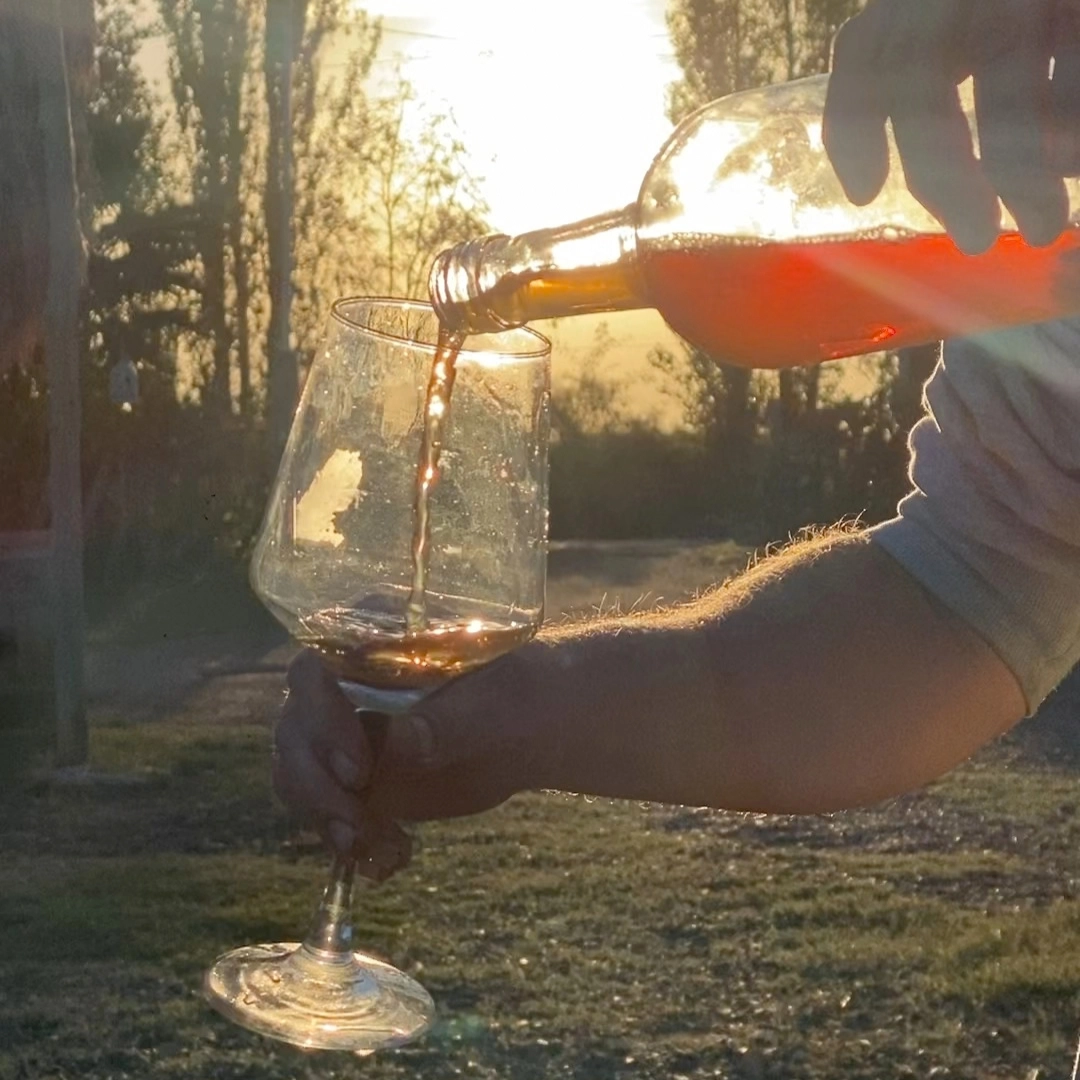 Finca Cosmos - Bodega 1