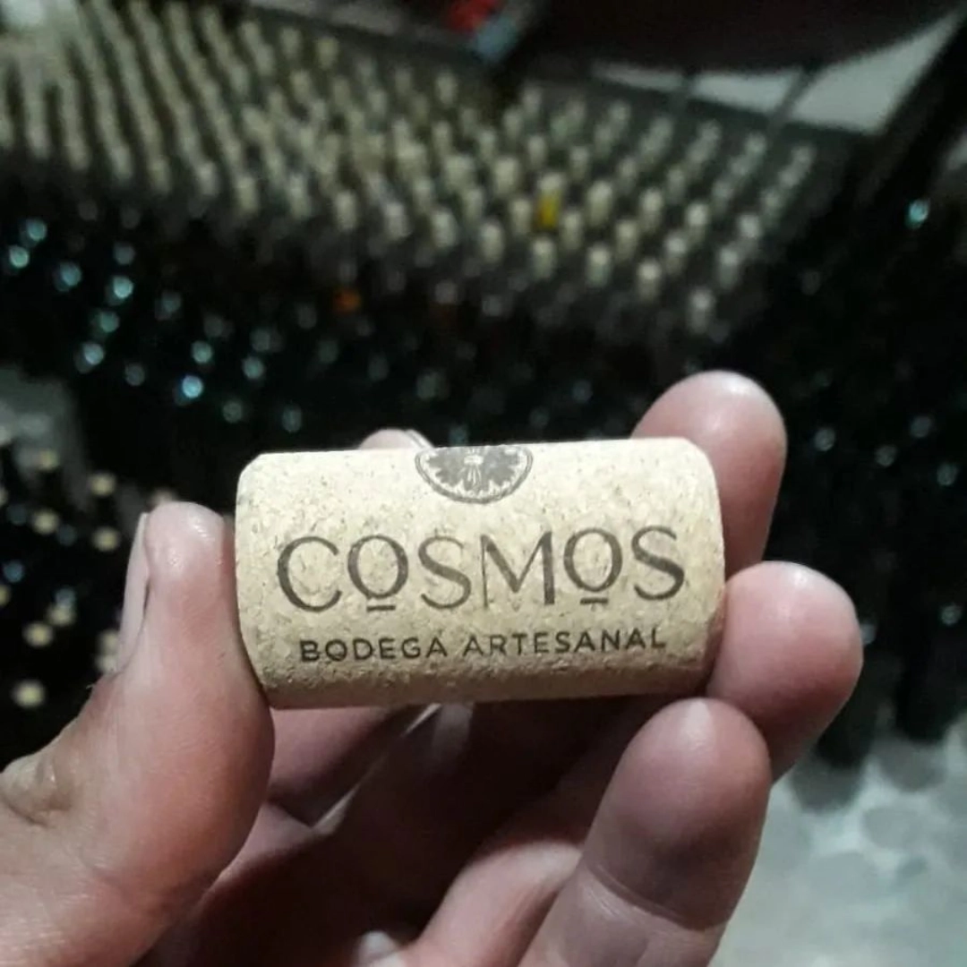 Finca Cosmos - Bodega 2